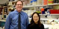 Critical Link between Obesity and Diabetes Has Been Identified