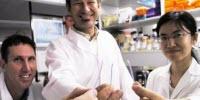 Dipstick Technology Could Revolutionize Disease Diagnosis