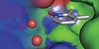 Fragment-Based Methods for Drug Screening