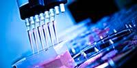 Going Automated: Lessons from Lab Professionals Who Have Made the Leap