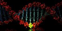 How Cells Detect, Mend DNA Damage May Improve Chemotherapy