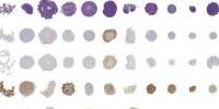 In Vitro Tissue Microarrays for Quick and Efficient Spheroid Characterization