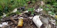 Low Dose, Constant Drip: Pharmaceutical and Personal Care Pollution Impacts Aquatic Life