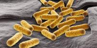 New Pathways, Better Biofuels