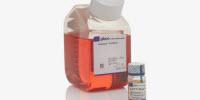 Thermo Fisher Scientific Develops New Gibco™ B-27™ Plus Neuronal Culture System