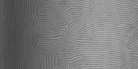 Accelerating the Self-Assembly of Nanoscale Patterns for Next-Generation Materials