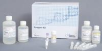 Advanced Analytical Technology Inc: High Sensitivity Fragment Analysis Kits for cfDNA Quality Control