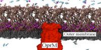 Computer Simulations Reveal Roots of Drug Resistance