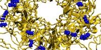 Designer Nanoparticles Destroy a Broad Array of Viruses
