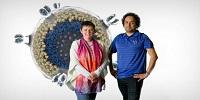 Discovery Puts the Brakes on HIV's Ability to Infect