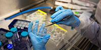 Ninety-Six Leading Cancer Researchers and Physician-Scientists Urge Congress to Reach a Bipartisan Budget Agreement