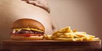 Study Explores Impact of Obesity on Bone Marrow Cells