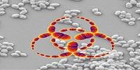 Botulinum-Type Toxins Jump to a New Kind of Bacteria