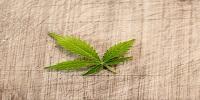 Recreational Marijuana Legalization: Do More Youth Use or Do Youth Use More?