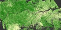 Researchers Find Human Impact on Forest Still Evident After 500 Years
