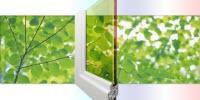 Tweaking Quantum Dots Powers-Up Double-Pane Solar Windows