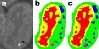 ‘Minimalist Machine Learning’ Algorithms Analyze Images from Very Little Data