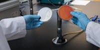 More Robust Listeria Risk Assessment by Including Heat-Injured Cells