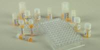 Novel Monoclonal Antibodies for Hepatitis B Testing Now Available from Binding Site
