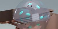 Study Shines New Light on How Salmonella