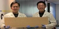 Super Wood Could Replace Steel