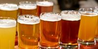 A Brewer's Tale of Proteins and Beer