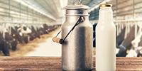 Forage-Based Diets on Dairy Farms Produce Nutritionally Enhanced Milk
