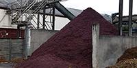 From Landfill to Lipstick: Grape Waste as a Cosmetic and Food Ingredient