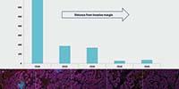 How Multiplex Immunohistochemistry Works