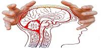 Is YOUR Stress Changing MY Brain?