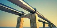 Living Sensor Can Potentially Prevent Environmental Disasters from Fuel Spills