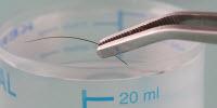 Microwave Digestion: A Reliable Method