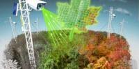 PhenoCam Network Harnesses 'Big Data' to Predict Impact of Warmer Climate on Ecosystem Productivity and Carbon Cycling