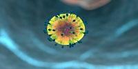 Preventing Exhaustion in Immune Cells Boosts Immunotherapy in Mice