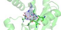 Progress toward a New Flu Treatment, Thanks to a Small Tweak