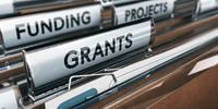 Reviewers of NIH Grants Cannot Distinguish the Good from the Great, Study Suggests