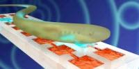 Scientists Mimic Neural Tissue in Army-Funded Research
