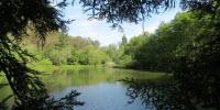 Sewage Sludge Leads to Biofuels Breakthrough