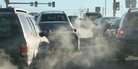 Study Shows That Environmental Exposures Such as Air Pollution Are More Determinant of Respiratory Health than Inherited Genetics