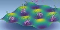 The Clouds of Spaghetti That Keep DNA Data Safe