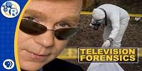 What Do Crime Scene Investigators Actually Do?
