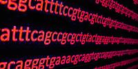 Boise State DNA Lab Helps Exonerate Convicted Killers
