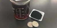 Building Lithium-Sulfur Batteries With Paper Biomass