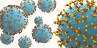 IONTAS and IGEM Therapeutics Collaborate to Identify Novel IgE Antibodies for Cancer Targets
