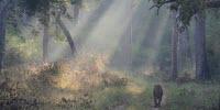 Landmark Paper Finds Light at End of the Tunnel for World's Wildlife and Wild Places
