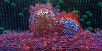 New Class of Drugs Could Help Tackle Treatment-Resistant Cancers
