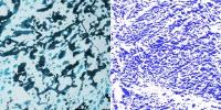 New Technique More Accurately Reflects Ponds on Arctic Sea Ice