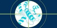 Protein Analysis Enables Precise Drug Targeting