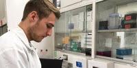 Research Team Develops Improved Production Method to Create Synthetic Silk Fibers