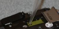 Scientist Creates System to Quickly Detect Food Pathogens